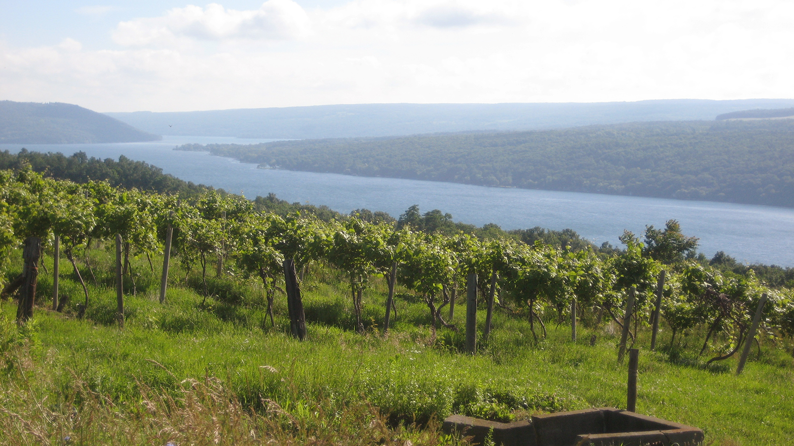 hammondsport personals Hammondsport dating and personals personal ads for hammondsport, ny are a great way to find a life partner, movie date, or a quick hookup personals are for people local to hammondsport, ny and are for ages 18+ of either sex. hammondsport personals Hammondsport dating and personals personal ads for hammondsport, ny are a great way to find a life partner, movie date, or a quick hookup personals are for people local to hammondsport, ny and are for ages 18+ of either sex.