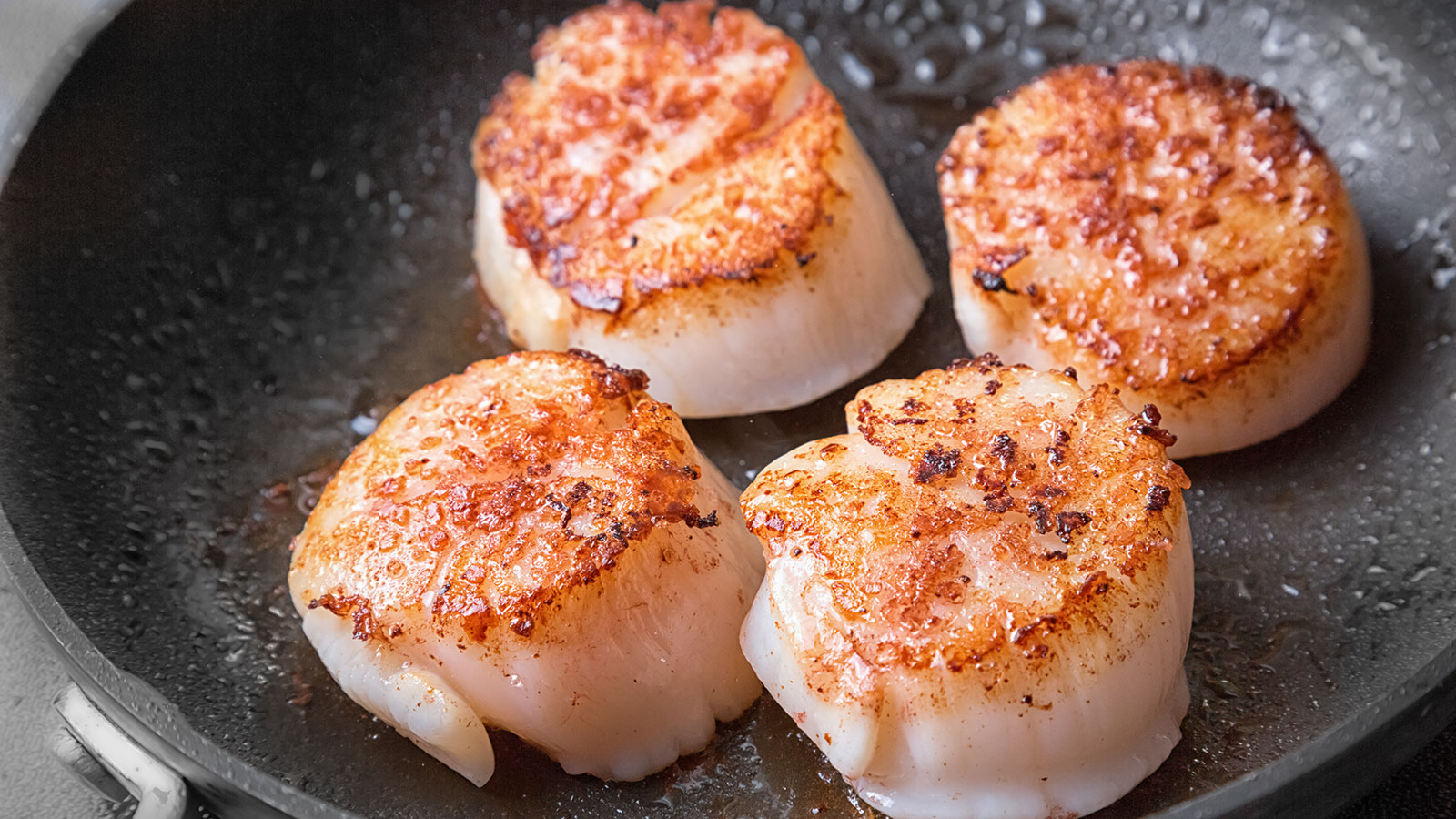 8-20-seared-sea-scallops-and-avocado-salad-with-a-spanish-white