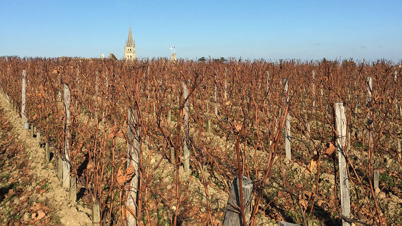 Château BélairMonange Vertical Tasting 2015 to 2008 Vintages