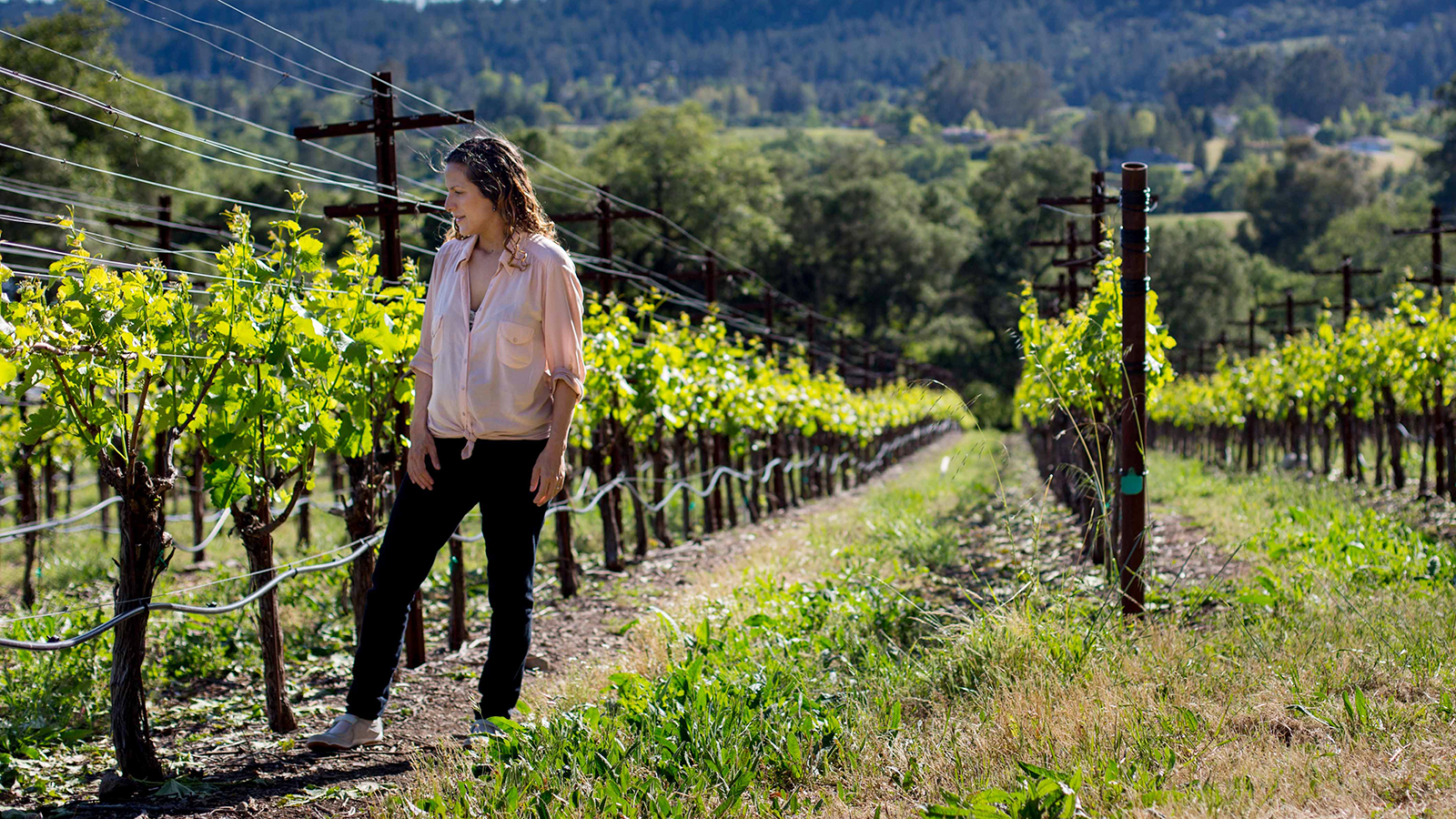 11 Juicy California Sauvignon Blanc Wines Tasting Highlights News & Features Wine Spectator